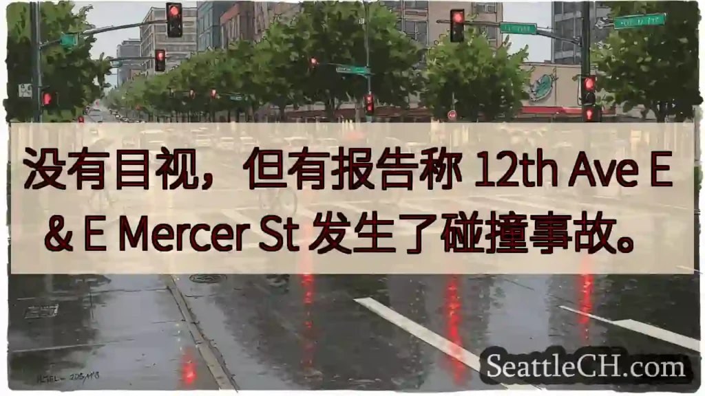没有目视，但有报告称 12th Ave E & E Mercer St 发生了碰撞事故。