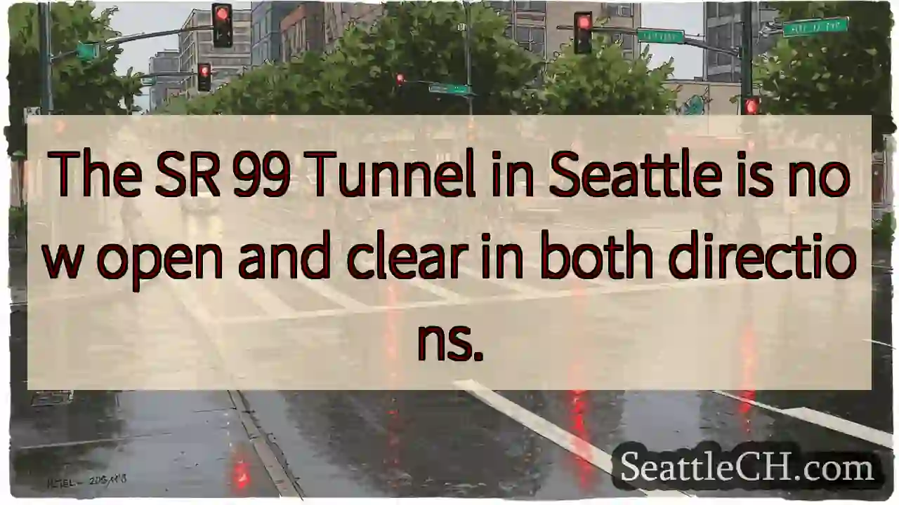 SR 99 Tunnel: Open & Clear!