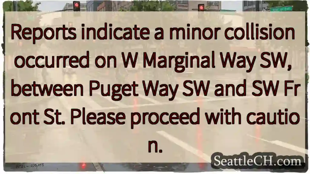 Minor collision on W Marginal Way SW