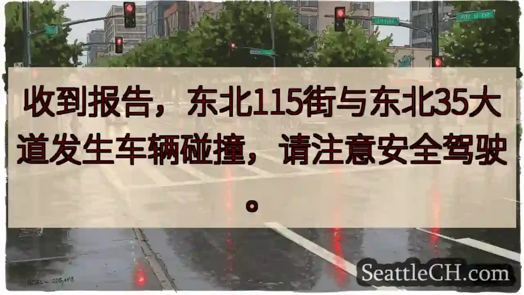 东北路段车辆碰撞！注意安全！