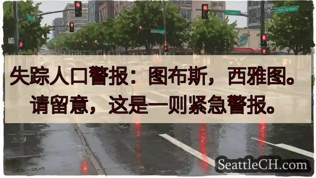 寻人启事：图布斯，西雅图