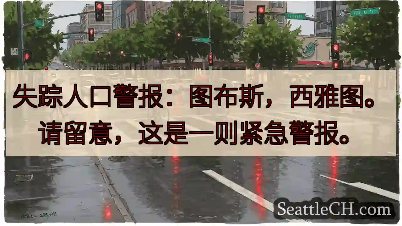 寻人启事：图布斯，西雅图