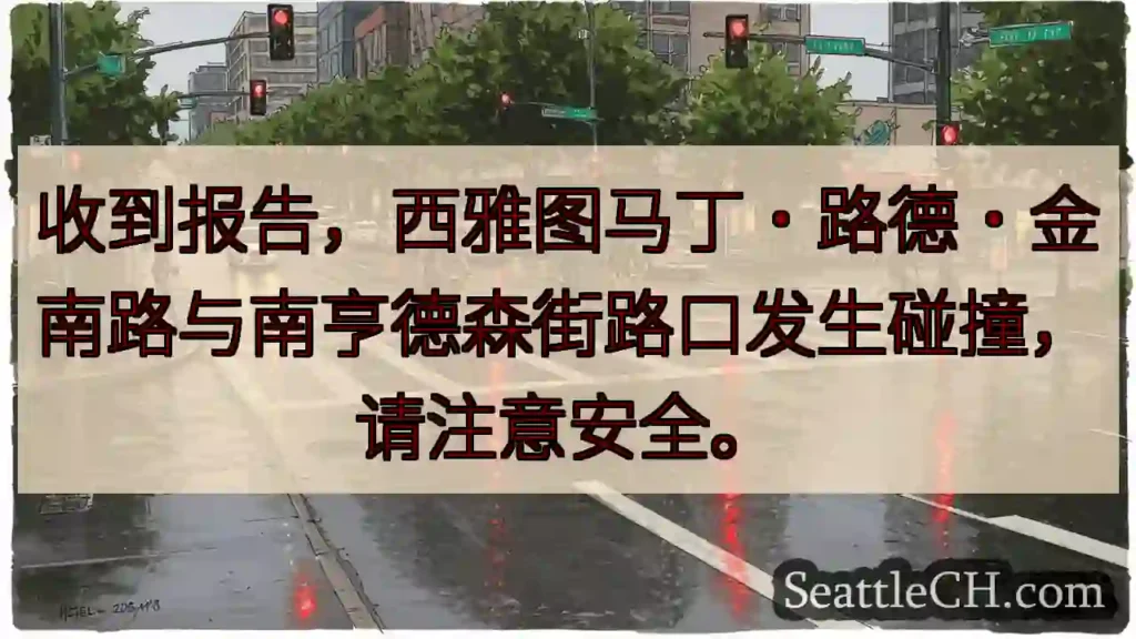 西雅图路口事故，注意安全！