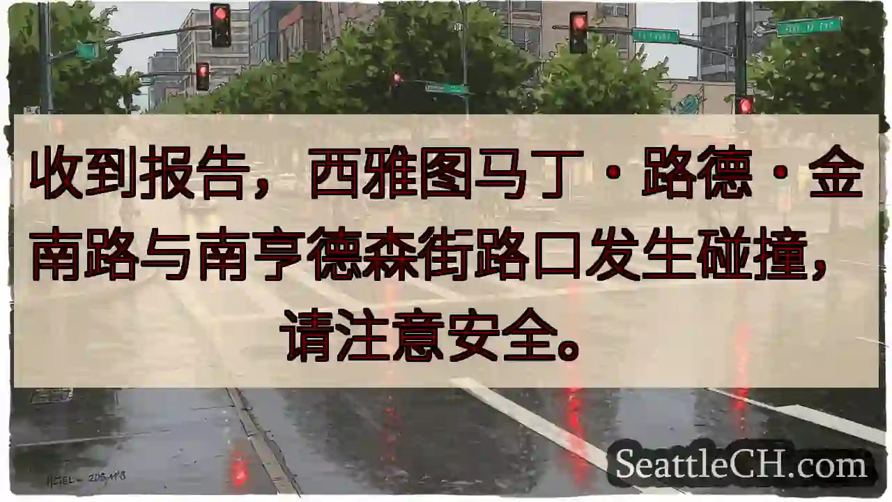 西雅图路口事故，注意安全！