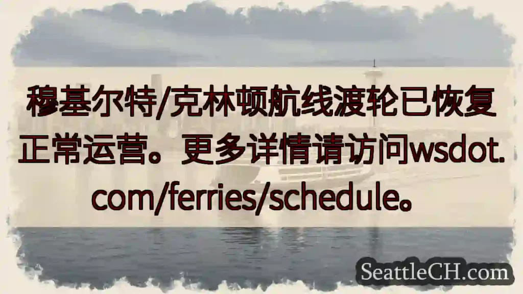 渡轮航线恢复！详情请查阅。