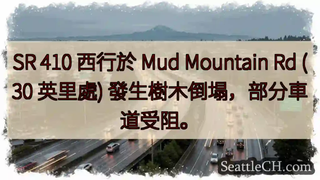 SR 410 路段树木倒塌，注意绕行！