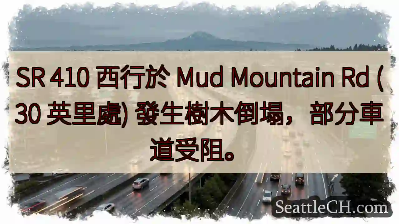 SR 410 路段树木倒塌，注意绕行！