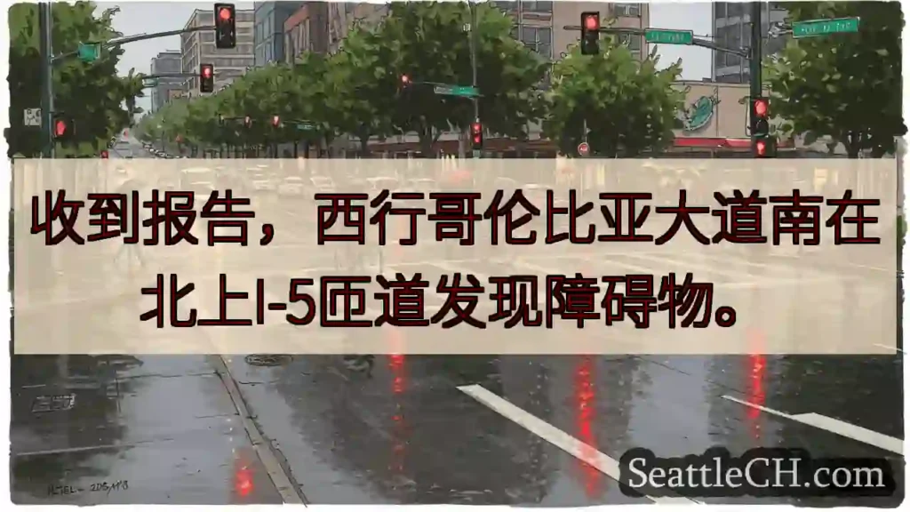 西哥伦比亚南路匝道障碍物!