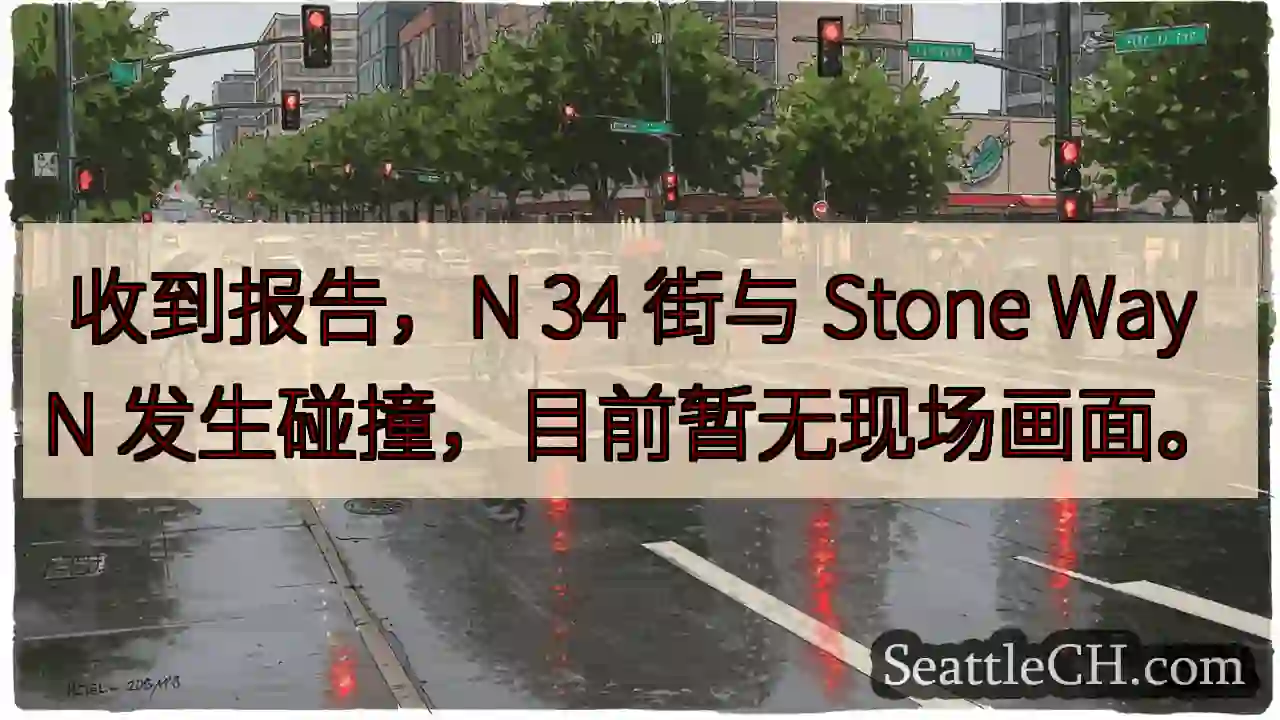 N 34 街 Stone Way N 事故，暂无画面