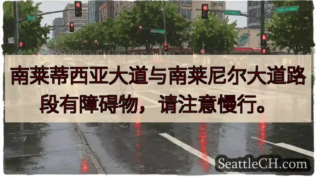 注意！莱蒂西亚路段障碍物，请慢行。