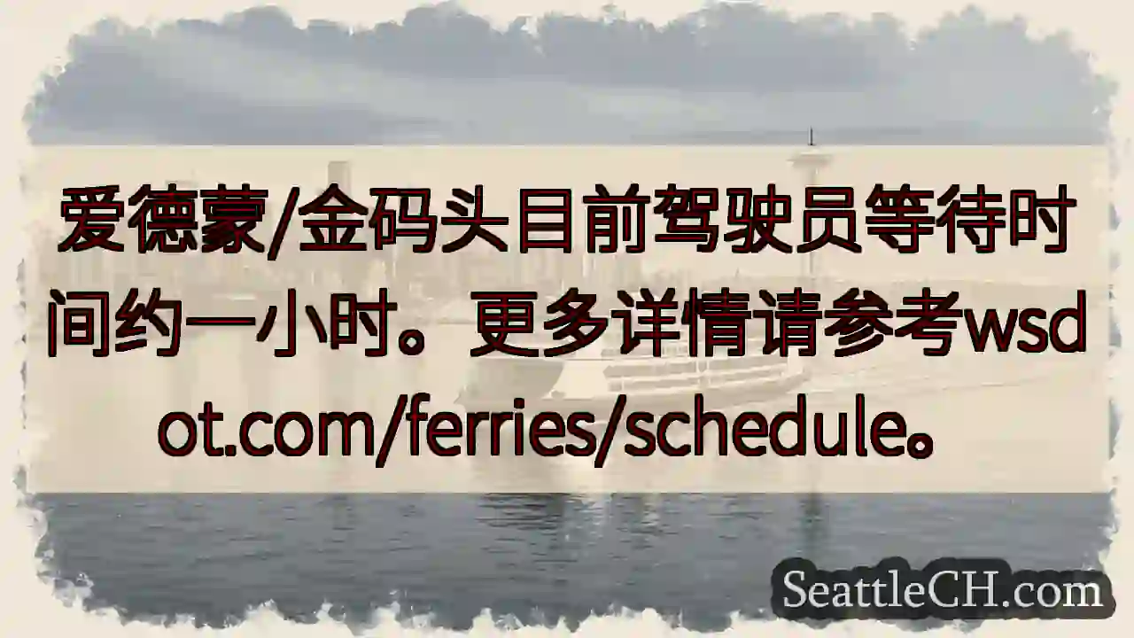 金码头候船约一小时！