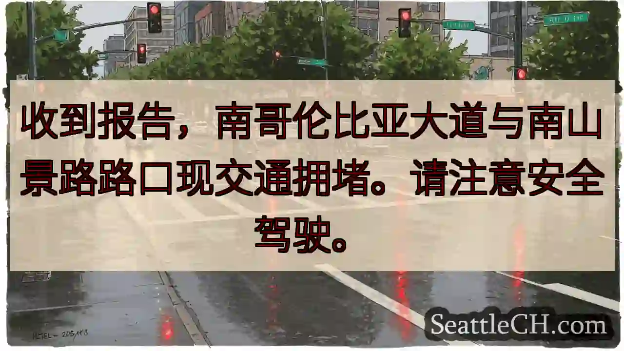南哥伦比亚路口拥堵！注意安全。