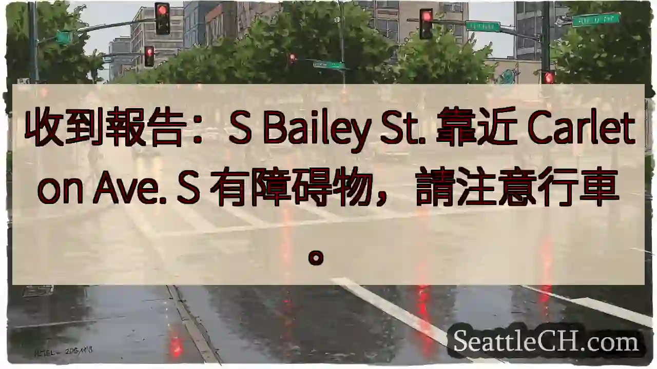 注意！S Bailey St. 有障碍物