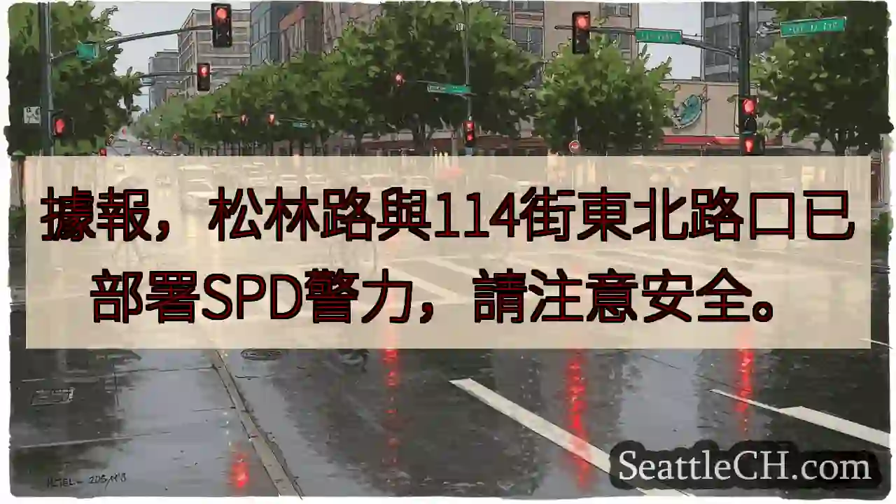 松林路/114街口：SPD警力部署，注意安全！