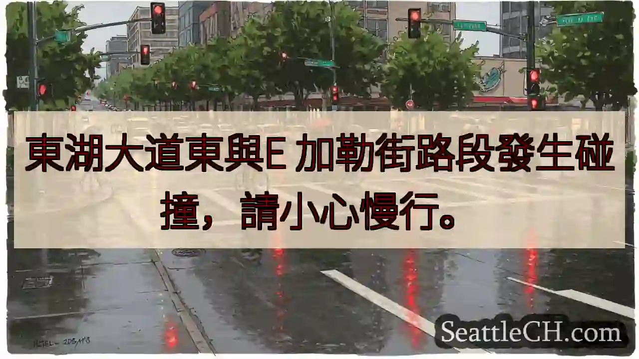 東湖大道E加勒路段：小心慢行！