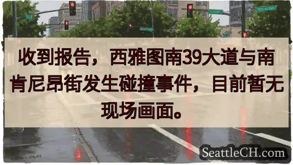 西雅图车祸，暂无画面