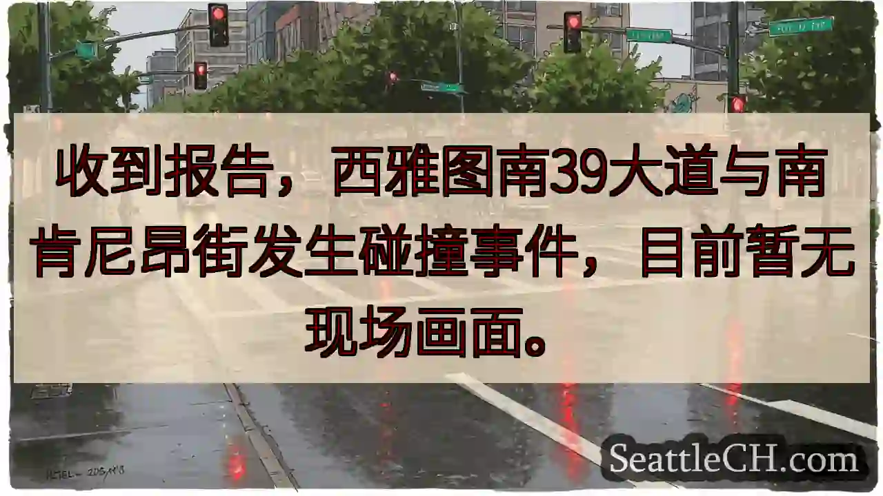 西雅图车祸，暂无画面
