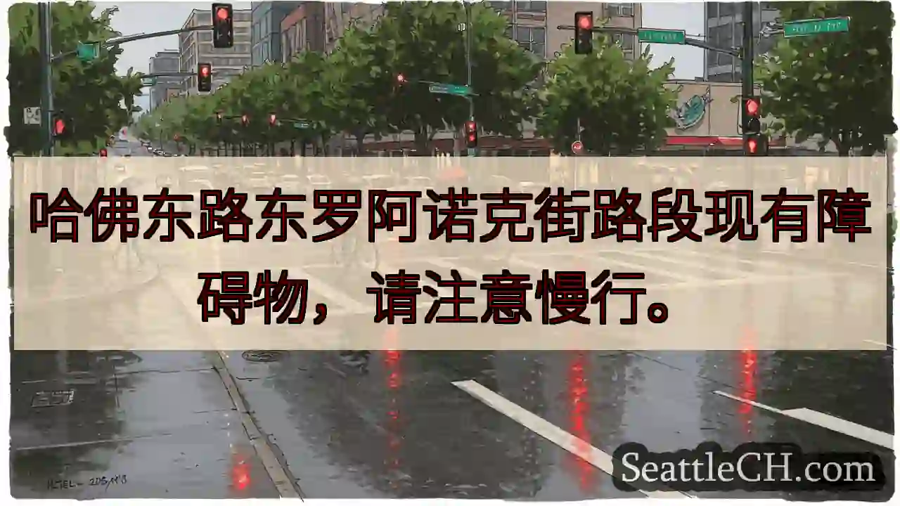 哈佛东路障碍物！请减速慢行。