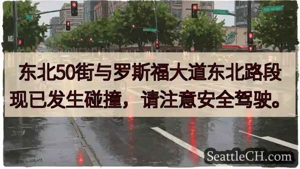 东北路口事故！小心驾驶！