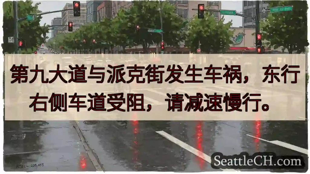 九大道派克街事故！减速慢行。