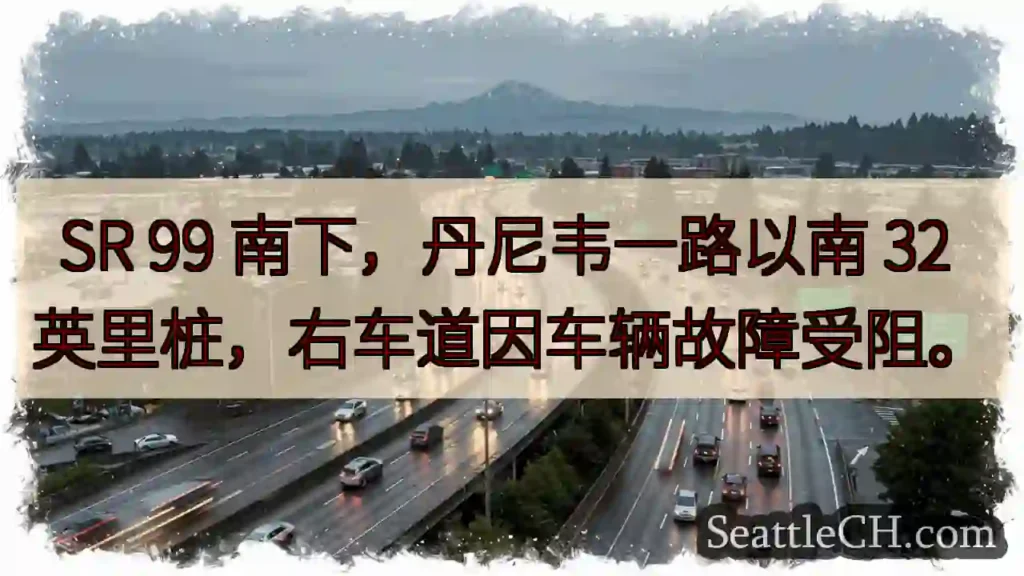 SR 99 南下：32 英里故障！