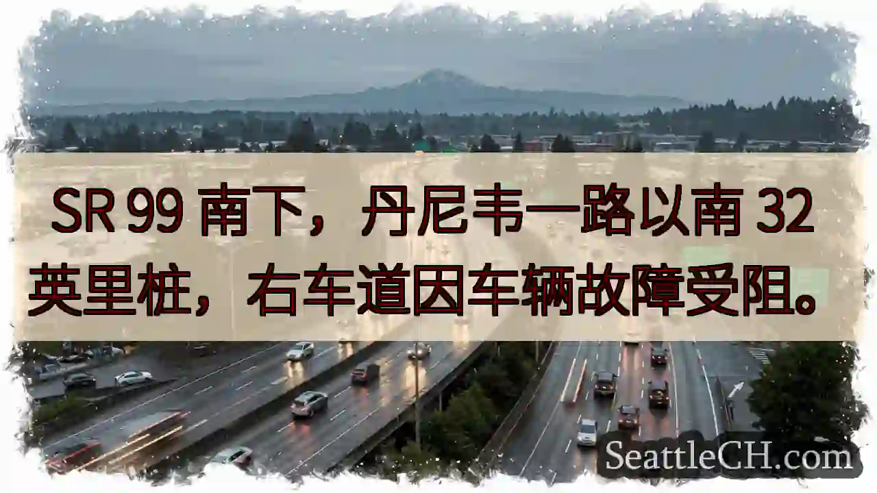 SR 99 南下：32 英里故障！