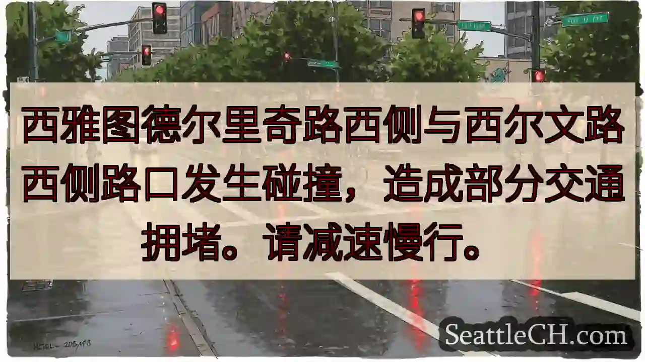 德尔里奇路/西尔文路 事故，请减速！