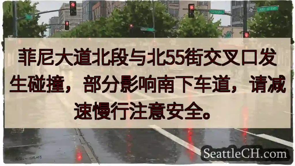 注意！菲尼大道北段事故！减速慢行。