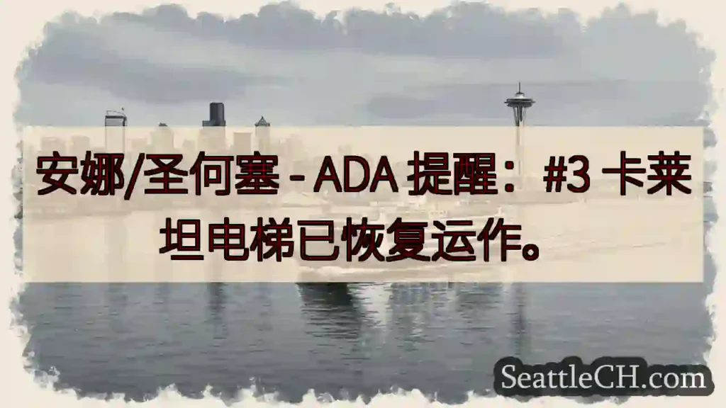 电梯已恢复!#3卡莱坦