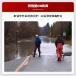 斯诺夸尔米河水位创历史新高，山谷洪灾隔离社区，养蜂人损失惨重