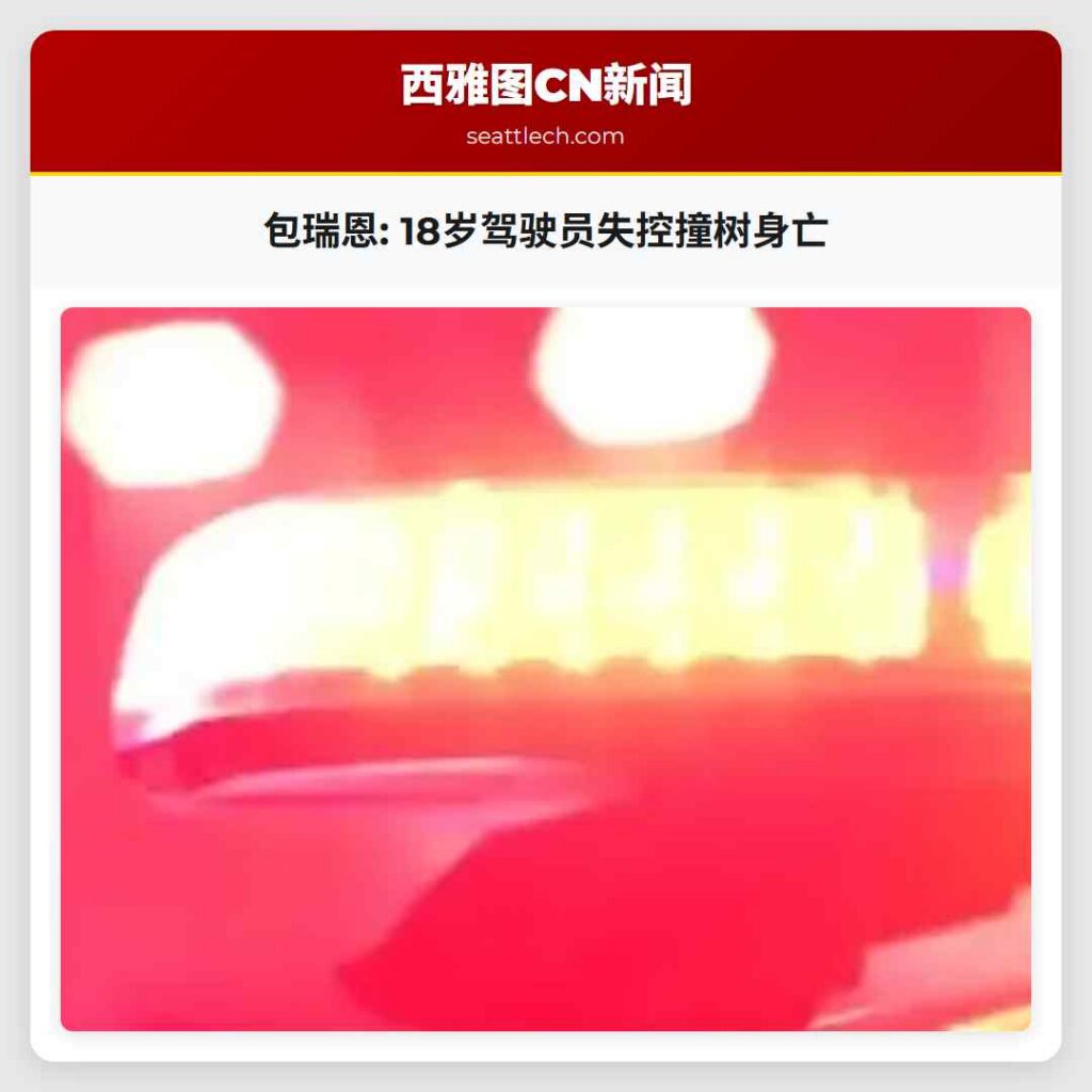 包瑞恩: 18岁驾驶员失控撞树身亡