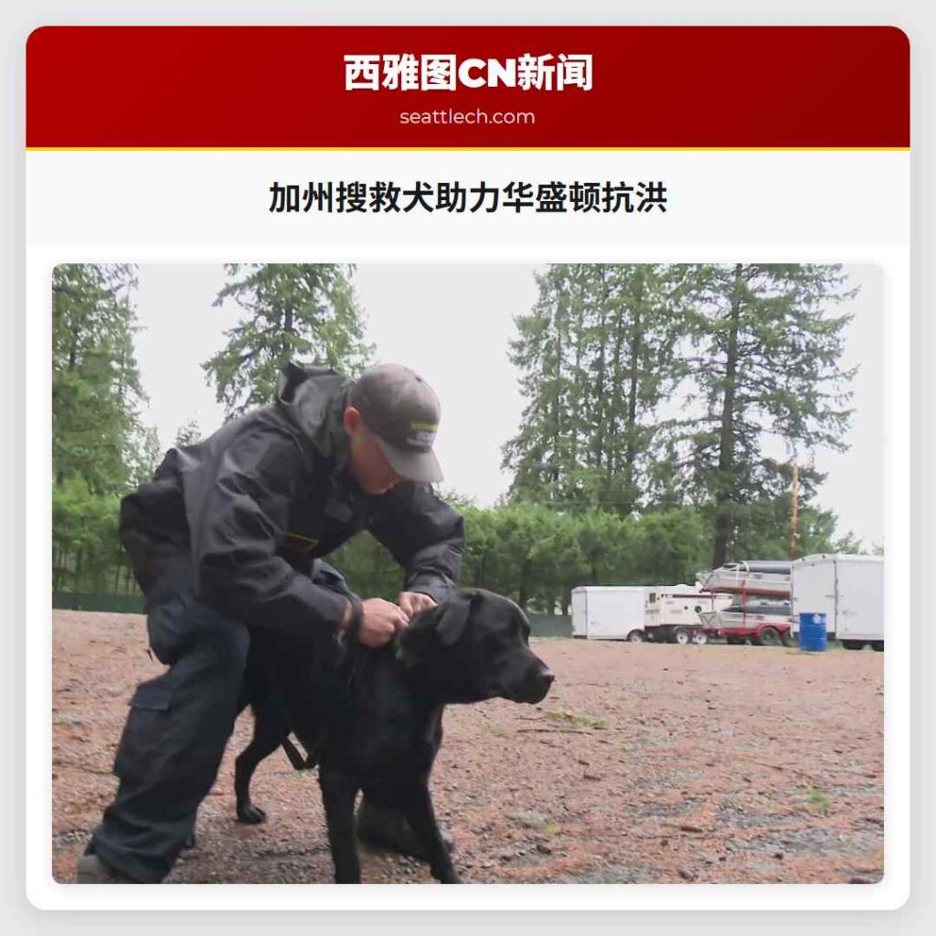 加州搜救犬助力华盛顿抗洪