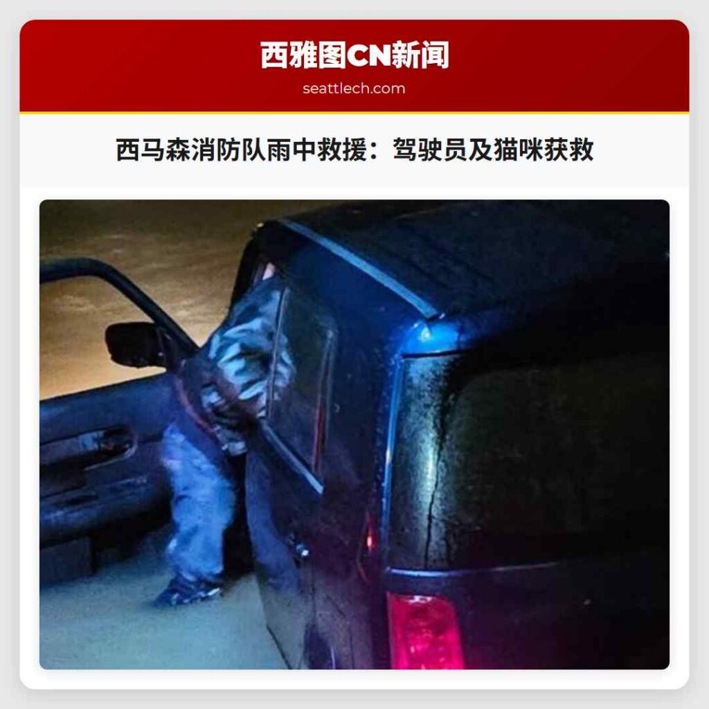 西马森消防队雨中救援:驾驶员及猫咪获救