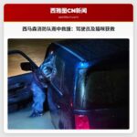 西马森消防队雨中救援：驾驶员及猫咪获救