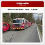 卡内申州际公路树木倒塌事故：1死1伤，交通中断