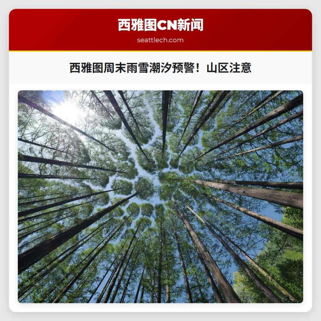 西雅图周末雨雪潮汐预警!山区注意