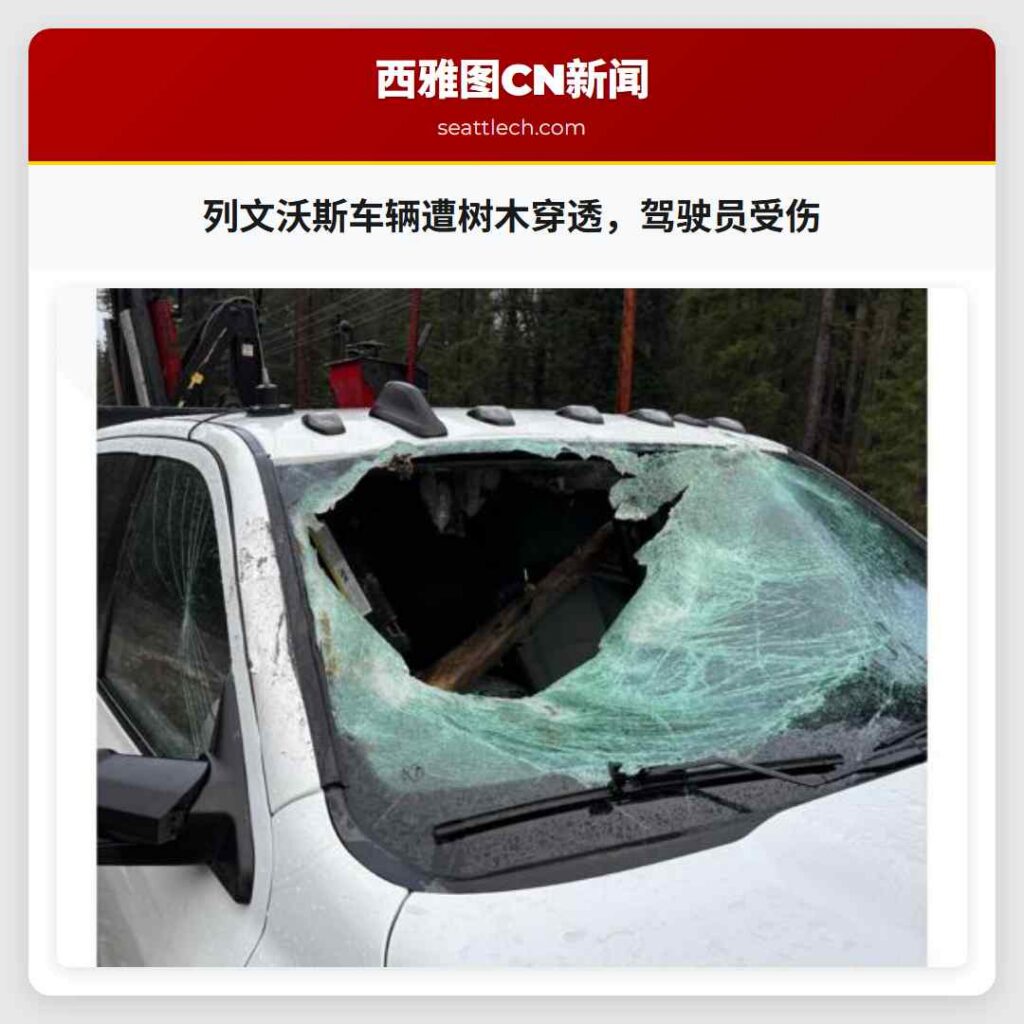 列文沃斯车辆遭树木穿透,驾驶员受伤