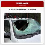 列文沃斯地区车辆挡风玻璃遭树木穿透，驾驶员受伤