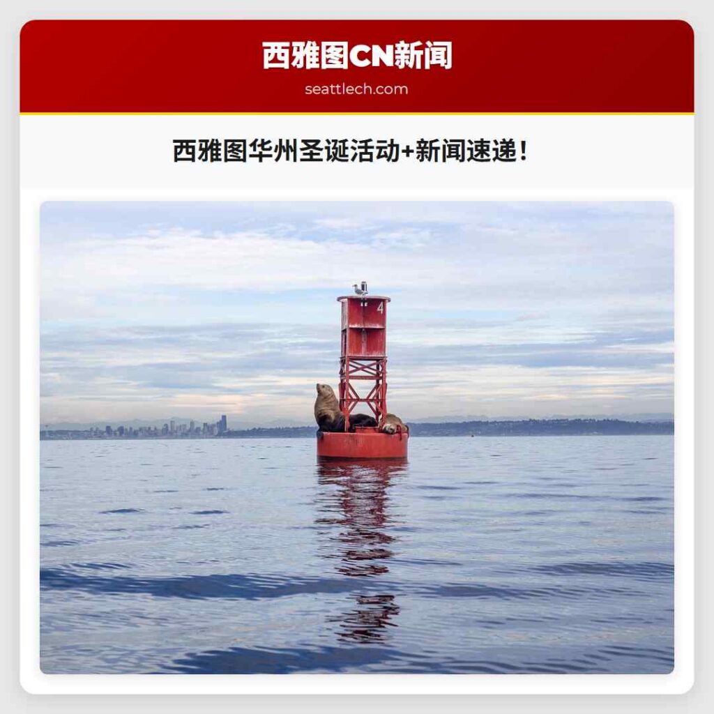 西雅图华州圣诞活动+新闻速递！
