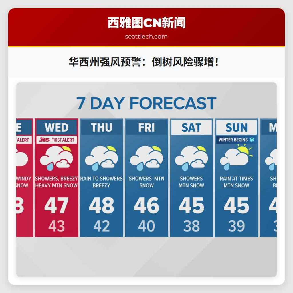 华西州强风预警:倒树风险骤增!