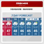 华盛顿州西部发布强风预警，倒树风险显著提升