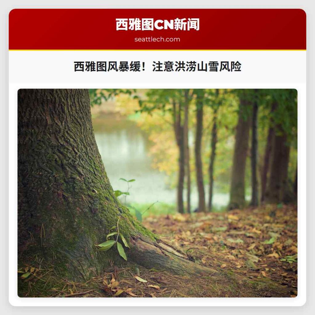 西雅图风暴缓！注意洪涝山雪风险