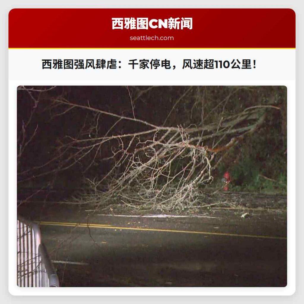 西雅图强风肆虐：千家停电，风速超110公里！