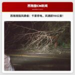 西雅图及西部华盛顿州强风肆虐：部分地区阵风超过每小时110公里