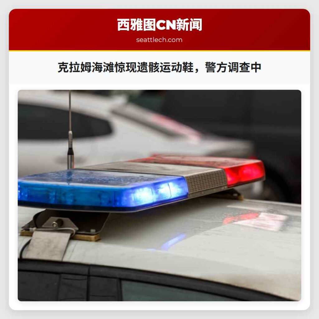 克拉姆海滩惊现遗骸运动鞋,警方调查中