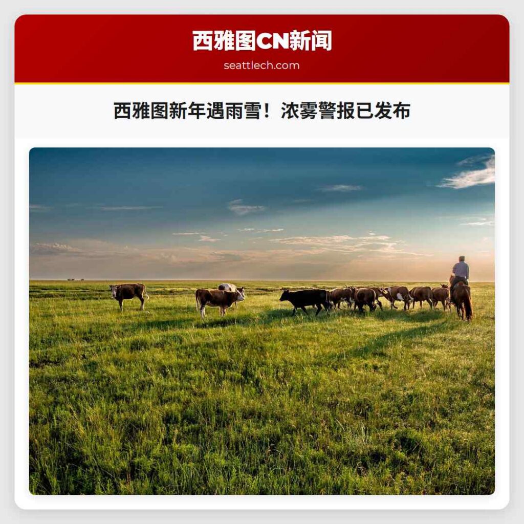 西雅图新年遇雨雪！浓雾警报已发布