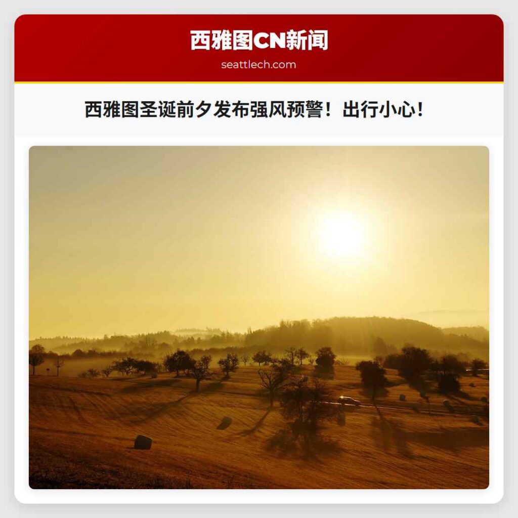 西雅图圣诞前夕发布强风预警！出行小心！