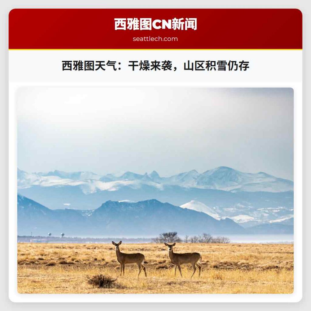 西雅图天气：干燥来袭，山区积雪仍存