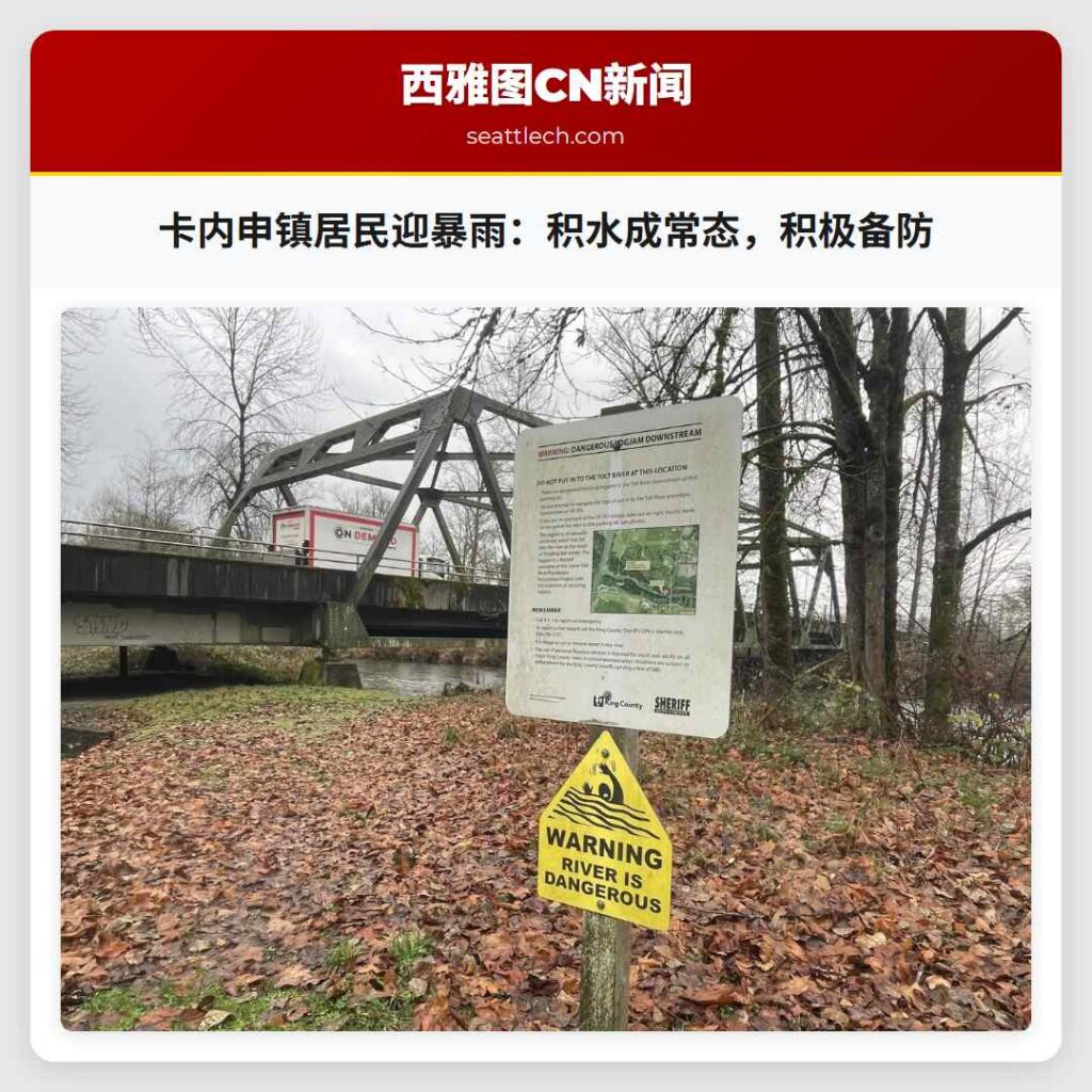 卡内申镇居民迎暴雨:积水成常态,积极备防