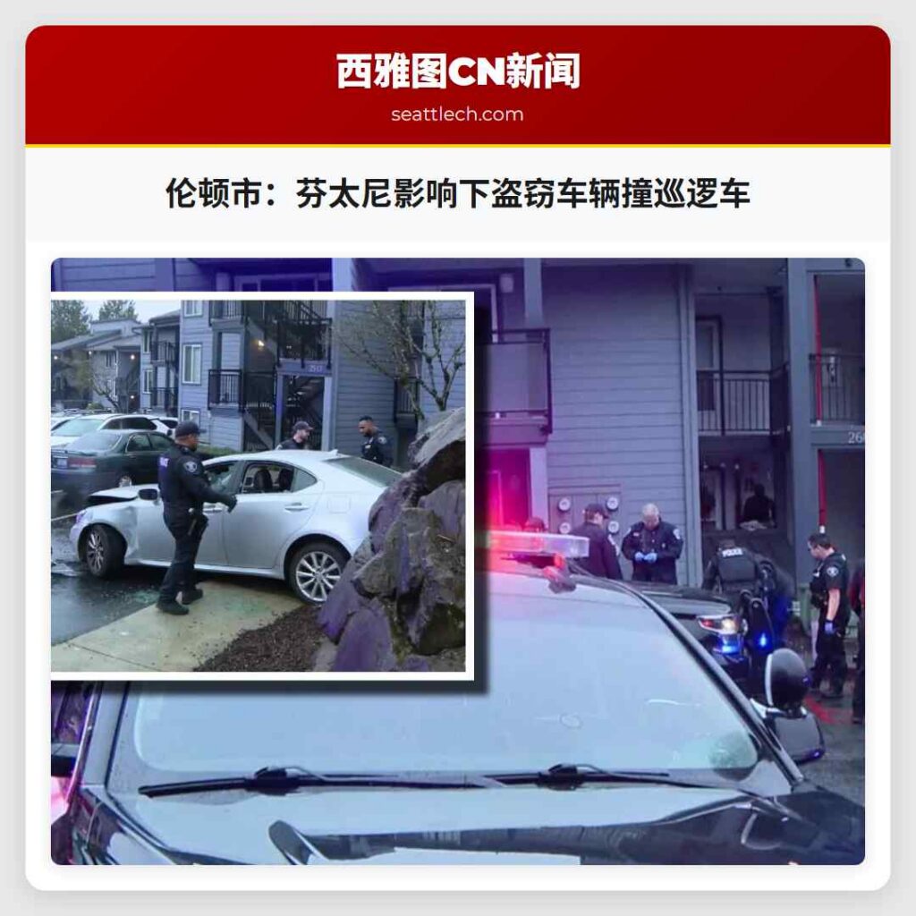 伦顿市：芬太尼影响下盗窃车辆撞巡逻车